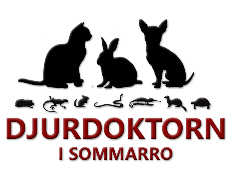 Djurdoktorn i Sommarro